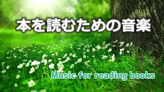 【読書の時に聞く音楽】作業用BGM│本を読むのに最適│森林浴の癒し [upl. by Olenta]