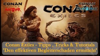 Conan Exiles  Tipps  Tricks amp Tutorials  quotDen effektiven Begleiterschaden ermittelnquot [upl. by Meer]