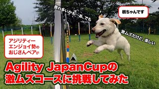 アジリティーJapanCupの激ムズコースに挑戦（楓ちゃんとおじさんのアジリティー奮闘記） [upl. by Paulo]