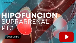 Introduccion A Emergencias Endocrinologicas amp Insuficiencia Suprarrenal [upl. by Amalita565]