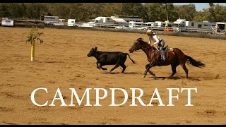 CAMPDRAFT AUSTRALIA [upl. by Gerg]