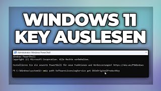 Windows 11 Key auslesen  Produktschlüssel herausfinden Tutorial [upl. by Enyamert297]