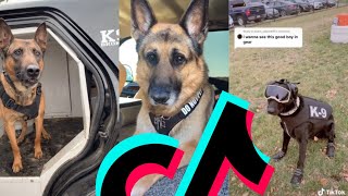 The Most Coolest k9 Police Dog TikTok Compilation  Dogs Of TikTok [upl. by Gertie]