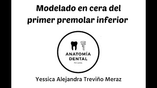 MODELADO EN CERA DEL PRIMER PREMOLAR INFERIOR [upl. by Fillander880]