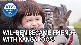 WillBen became friends with kangaroos The Return of Superman20191124 [upl. by Ahon]