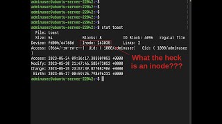 What the Heck is an Inode  Linux Filesystem  TatOG Explains [upl. by Aralk778]