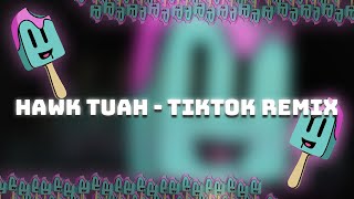 Hawk Tuah  TikTok REMIX [upl. by Grew]