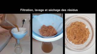 Extraction du chitosane pour fabriquer un bioplastique [upl. by Arihsaj]