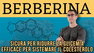 BERBERINA per migliorare la sensibilità insulinica [upl. by Ahsinelg]