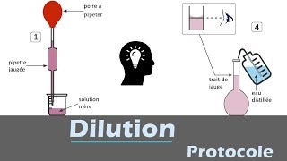 Dilution  🧪 Protocole  chimie [upl. by Shawna]