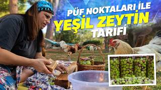 Yeşil Zeytin Nasıl Kurulur Sırlarımızı Açıklıyoruz Çizik ve Kırık Zeytin [upl. by Adnohs457]