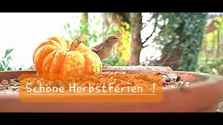 Schöne Herbstferien [upl. by Brightman]