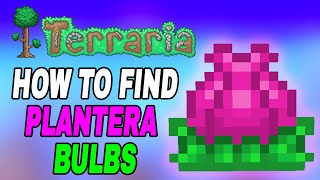 Terraria How To Find Planteras Bulb Easy Fast Tutorial [upl. by Monagan108]