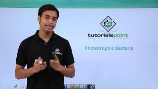 Class 11th – Kingdom Monera Nutrition  Phototrophic Bacteria  Tutorials Point [upl. by Freytag]