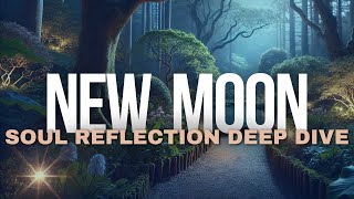 New Moon Meditation NOVEMBER 2024  Plant a Radiant Seed of Intention [upl. by Bore]