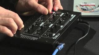 Using the Moog Werkstatt with Ableton Live  Sweetwater Sound [upl. by Amo686]