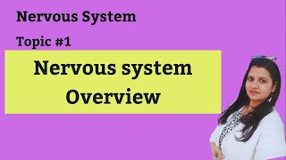 Nervous system overview [upl. by Seldon176]