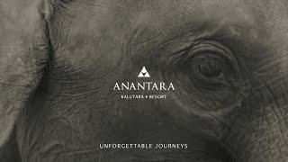 Anantara Kalutara Resort  Udawalawa Elephant Orphanage [upl. by Yekim232]