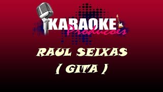 RAUL SEIXAS  GITA  KARAOKE [upl. by Nnazus684]