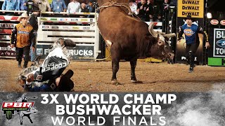 BUSHWACKER The World Finals Outs That Made Him a 3x World Champion [upl. by Fiorenza]