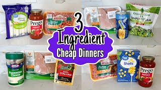 Quick amp Easy 3INGREDIENT Dinners You Can Make TONIGHT  Tasty Cheaper Meal Ideas  Julia Pacheco [upl. by Peednas72]