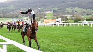 TEAHUPOO batters bookies with Stayers Hurdle glory [upl. by Milson928]