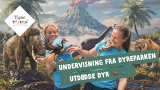 Undervisning fra Dyreparken Dinosaurer og utdødde dyr 🦕🦖🦣 [upl. by Riabuz]