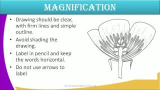 Form1 Biology lesson9 CELL MAGNIFICATION [upl. by Werdma621]