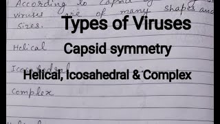 Types of Viruses According to Capsid symmetry [upl. by Annayhs706]