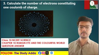 Calculate the number of electrons constituting one coulomb of charge  The Study Adda [upl. by Hedy]