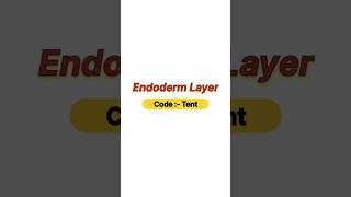 Endoderm layer [upl. by Nuy931]