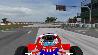 Rotax Max  Birel Kart  Kartodromo de Zarate  Onboard rFactor [upl. by Ytte585]