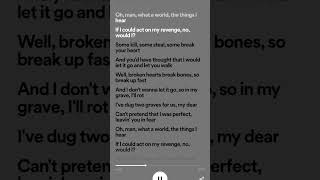 Revenge lyrics [upl. by Fellows]