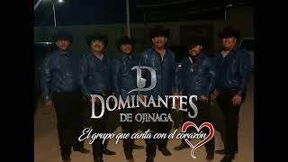 nuestros amigos dominantes de Ojinaga gracias por su apoyo [upl. by Zaller195]