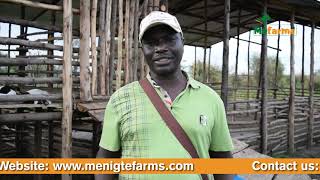 300 Acre Integrated Modern Goat Farm in Nothern Uganda Implemented by Menigte Farms Ltd [upl. by Nivi466]