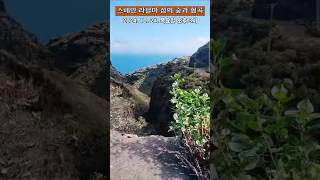 풍경 스페인 라팔마 섬의 숲과 협곡 ⛰️ [upl. by Beshore]