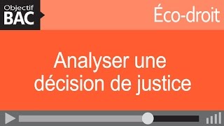 Écodroit  Analyser une décision de justice [upl. by Colton581]