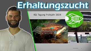 Erhaltungszucht in der Aquaristik  Inzucht Diversität Genetik 🐟 Vortrag IGLTagung Frühjahr 2024 [upl. by Eyaf]