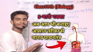 How to draw human digestive system easily method।। manav aahar naal ka chitra।। [upl. by Weaks118]