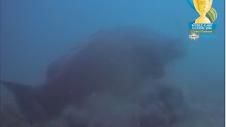 Giant 23kg carp takes a boilie in front of the camera at lake Bolsena [upl. by Ennyl411]