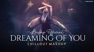 Dreaming Of You Mashup  Heartbreak Chillout Edit  BICKY OFFICIAL [upl. by Jaquenetta]