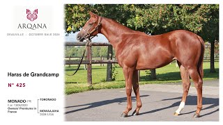 Arqana 202410 sale  N° 425 F  Toronado x Mowaajahat présentée par le Haras De Grandcamp [upl. by Annaitat358]