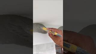 Cutting wall corner in brush😱💯Diy painting cutting in wall cornerspaintingshortsfeed [upl. by Enawtna]