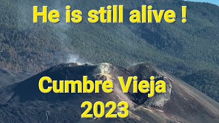 2023 Cumbre Vieja is still alive15 Years after volcanic eruption La Palma volcanoDrone footage 4K [upl. by Esihcoc]