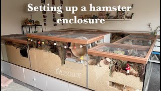 Setting up a hamster enclosure  Lottas enclosure [upl. by Cuhp238]