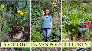 5 voordelen van POLYCULTUREN [upl. by Burack435]