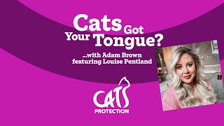 Cats Got Your Tongue podcast with Louise Pentland 🐱🎙️ Juggling cats and kids [upl. by Hodess]