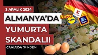 Almanya’da Yumurta Skandalı  3 Aralık 2024 [upl. by Reinal467]