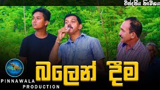 බලෙන් දීම  Balen Deema Pinnawala Production [upl. by Ahsiyn]