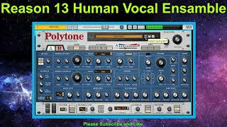 Reason 13 Polytone DualLayer Synthesizer  Factory Sound  Reason Rack VST [upl. by Yecak]